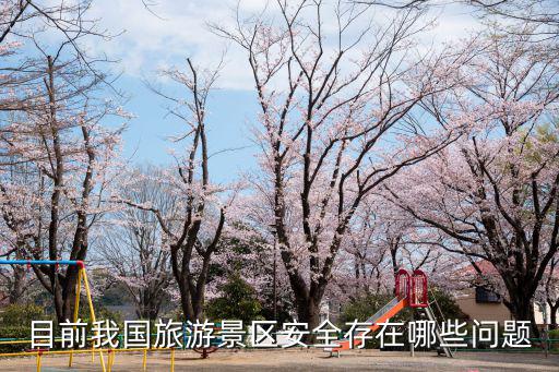 目前我國旅游景區(qū)安全存在哪些問題