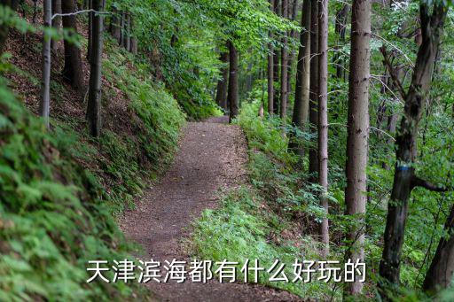 天津?yàn)I海都有什么好玩的