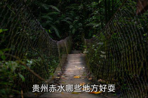 貴州赤水哪些地方好耍