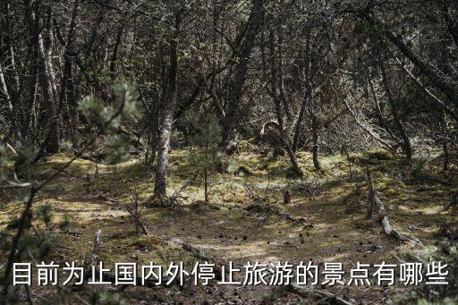 哪些景區(qū)限制跨省跨境旅游，旅游活動異地性定義