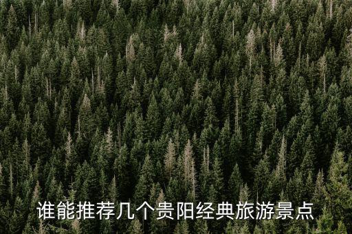誰能推薦幾個(gè)貴陽經(jīng)典旅游景點(diǎn)