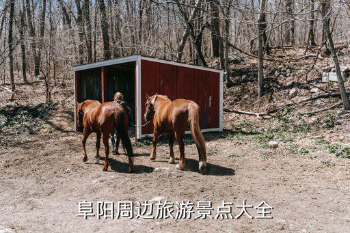 阜陽周邊旅游景點(diǎn)大全