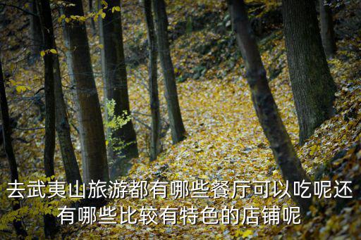 去武夷山旅游都有哪些餐廳可以吃呢還有哪些比較有特色的店鋪呢
