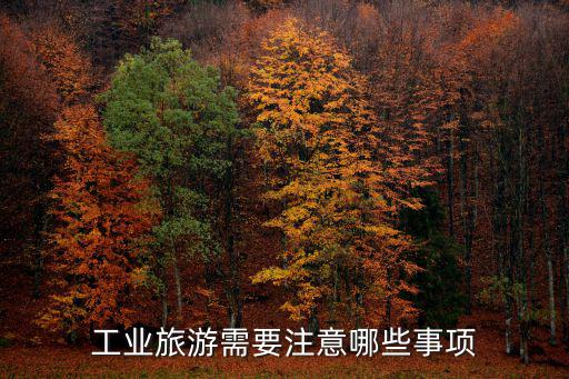 工業(yè)旅游需要注意哪些事項