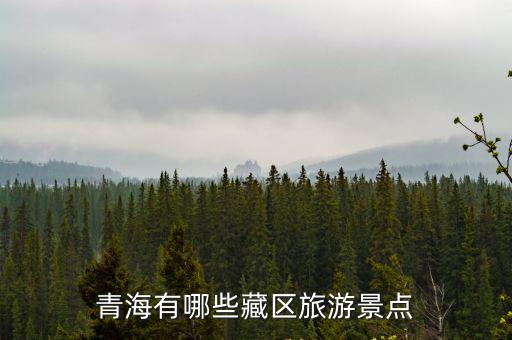 青藏旅游區(qū)有哪些景區(qū)，青藏地區(qū)著名的旅游景點
