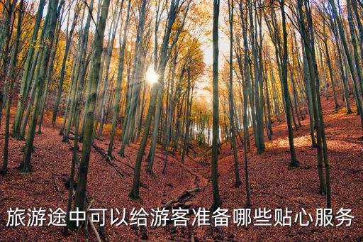 旅游途中可以給游客準(zhǔn)備哪些貼心服務(wù)
