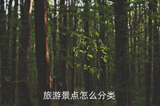 旅游景點(diǎn)怎么分類