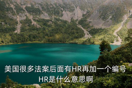 美國很多法案后面有HR再加一個(gè)編號HR是什么意思啊