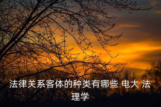 法律關(guān)系客體的種類有哪些 電大 法理學(xué)