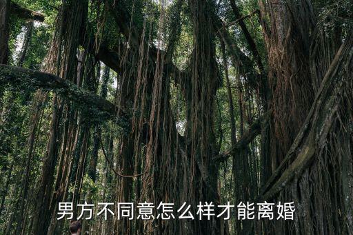 男方不同意離婚怎么樣才能離，男方不同意怎么樣才能離婚