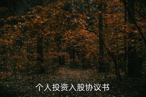 個(gè)人投資入股協(xié)議書(shū)