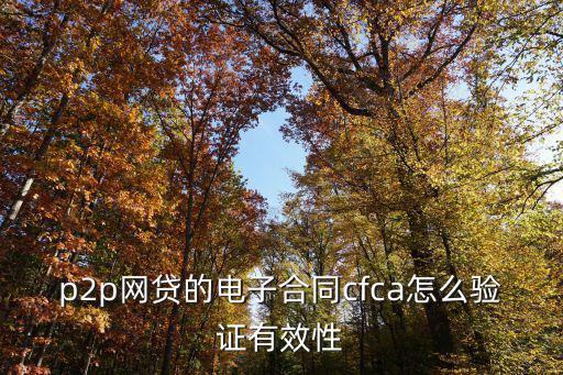 p2p網(wǎng)貸的電子合同cfca怎么驗證有效性