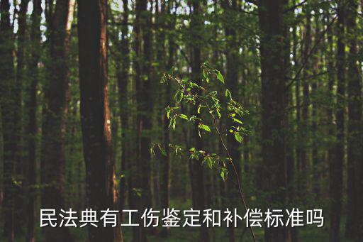 民法典有工傷鑒定和補(bǔ)償標(biāo)準(zhǔn)嗎