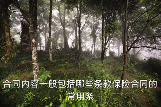 合同內(nèi)容一般包括哪些條款保險(xiǎn)合同的常用條