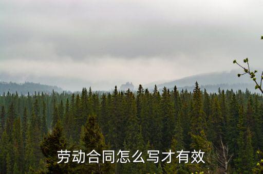 勞動合同怎么寫才有效