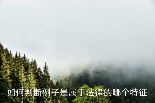 如何判斷例子是屬于法律的哪個特征