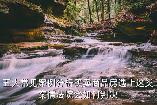 房屋買賣合同糾紛案例分析，關(guān)于買賣合同的案例分析 跪求