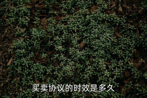 買賣協(xié)議的時效是多久