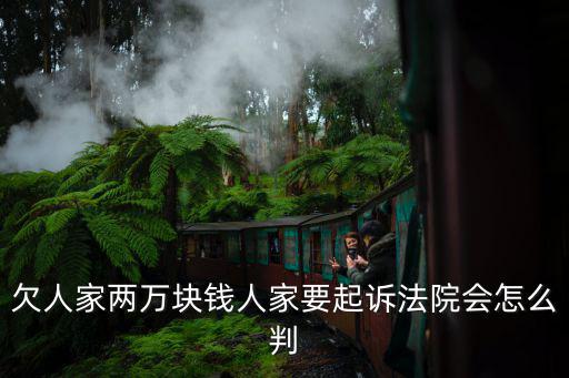 欠人家兩萬塊錢人家要起訴法院會怎么判