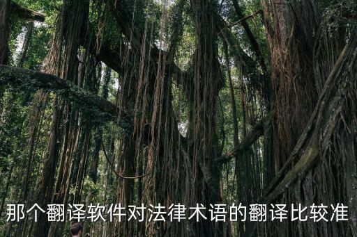 那個翻譯軟件對法律術(shù)語的翻譯比較準(zhǔn)