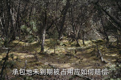 承包地未到期被占用應(yīng)如何賠償