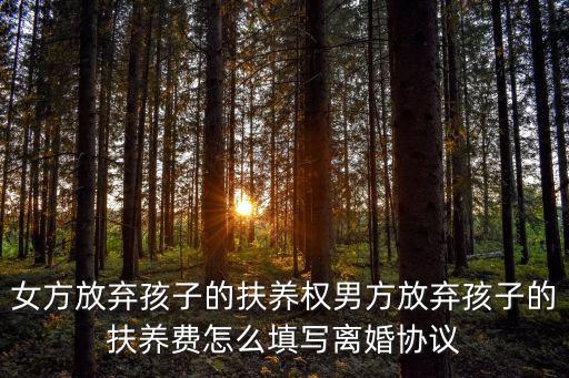 女方放棄孩子的扶養(yǎng)權男方放棄孩子的扶養(yǎng)費怎么填寫離婚協(xié)議