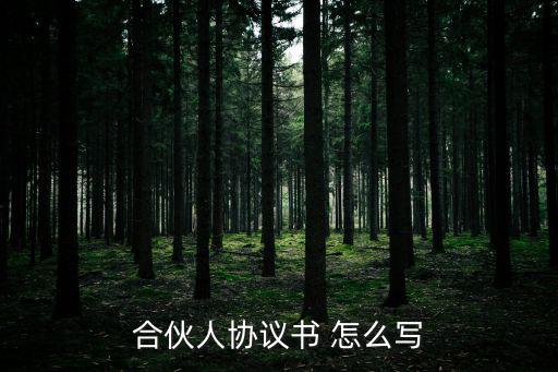 合伙人協議書 怎么寫