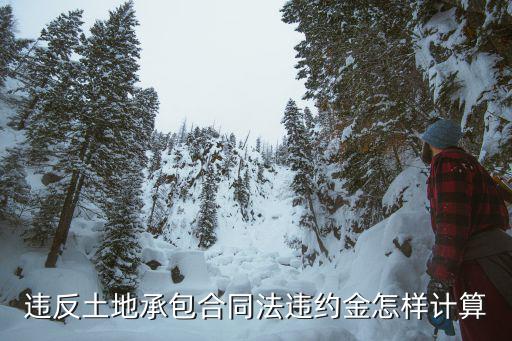 違反土地承包合同法違約金怎樣計(jì)算