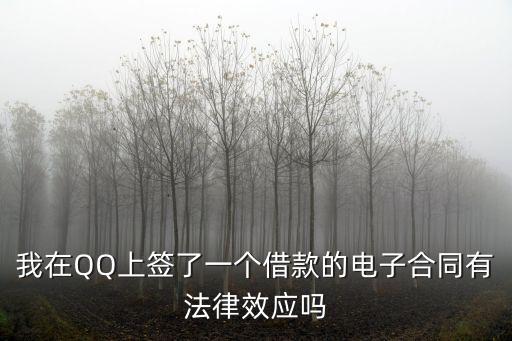 電子借款合同合法嗎，電子貸平臺的電子合同具有法律效果嗎