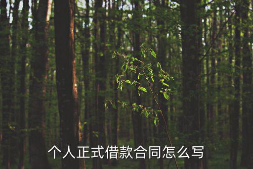 個人正式借款合同怎么寫