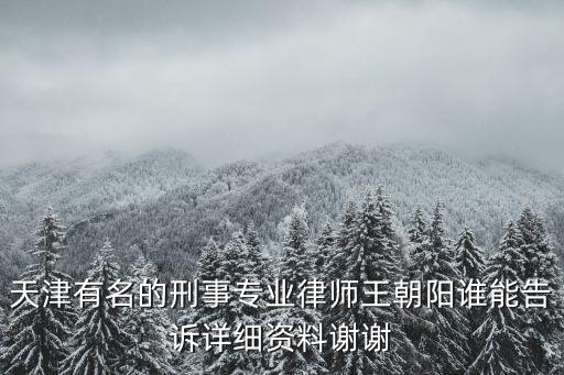 天津有名的刑事專(zhuān)業(yè)律師王朝陽(yáng)誰(shuí)能告訴詳細(xì)資料謝謝