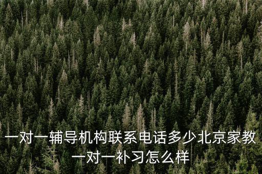 一對一輔導(dǎo)機(jī)構(gòu)聯(lián)系電話多少北京家教一對一補(bǔ)習(xí)怎么樣