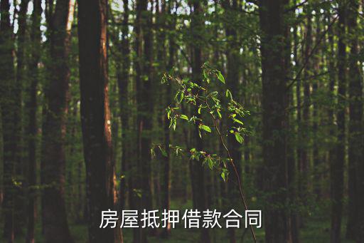 房屋抵押借款合同范本協(xié)議，房屋抵押借款合同