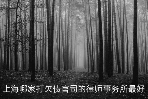上海免費(fèi)打官司的律師，上海哪家打欠債官司的律師事務(wù)所最好