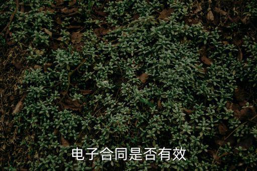 電子合同是否有效