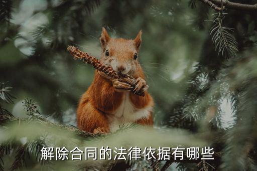 解除合同的法律依據(jù)有哪些