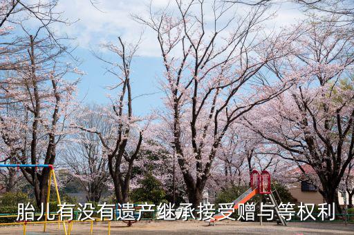 民法典草案意義，胎兒有沒(méi)有遺產(chǎn)繼承接受贈(zèng)與等權(quán)利