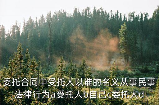 合同法中委托合同法條，委托合同相關(guān)法律規(guī)定有哪些