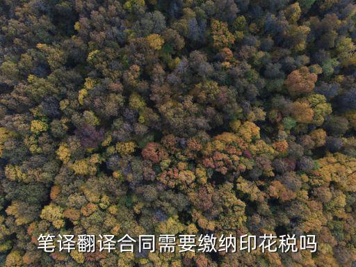 翻譯服務合同筆譯，筆譯翻譯合同需要繳納印花稅嗎