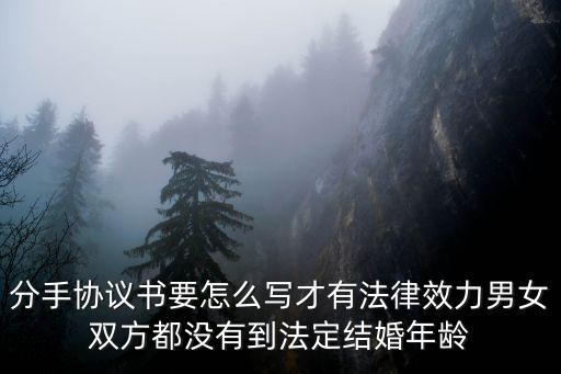 分手協(xié)議書要怎么寫才有法律效力男女雙方都沒有到法定結(jié)婚年齡
