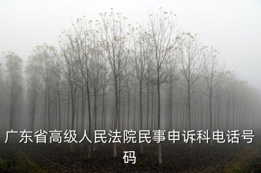 廣東省高級人民法院民事申訴科電話號碼