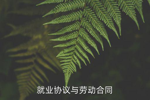 就業(yè)協(xié)議與勞動(dòng)合同