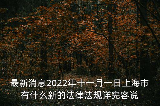 最新消息2022年十一月一日上海市有什么新的法律法規(guī)詳憲容說