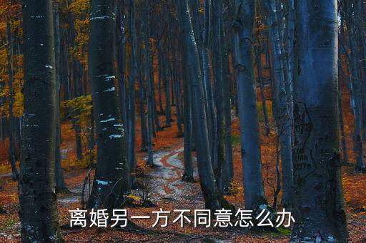 離婚另一方不同意怎么辦