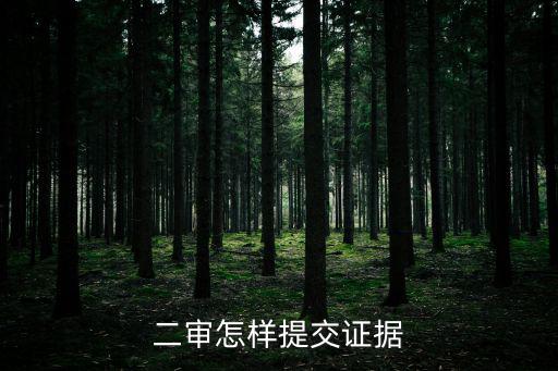 二審怎樣提交證據(jù)