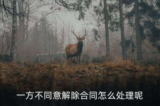 一方不同意解除合同怎么處理，解除合同對(duì)方不同意怎么辦