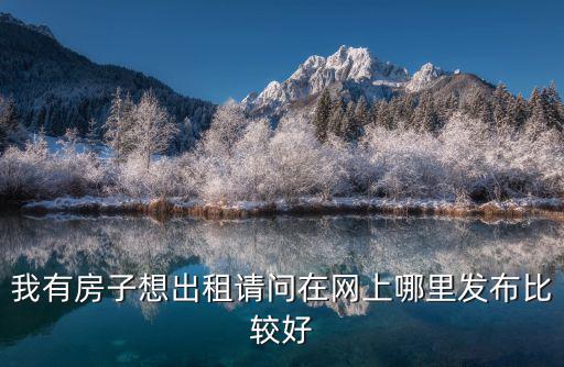 我有房子想出租請(qǐng)問(wèn)在網(wǎng)上哪里發(fā)布比較好