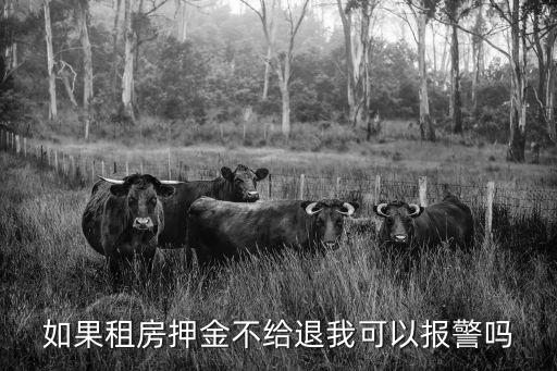 訂金不退可以報(bào)警嗎，買車定金不退能報(bào)警嗎