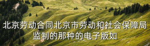 北京勞動(dòng)合同北京市勞動(dòng)和社會(huì)保障局監(jiān)制的那種的電子版如