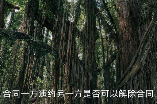 合同一方違約另一方是否可以解除合同